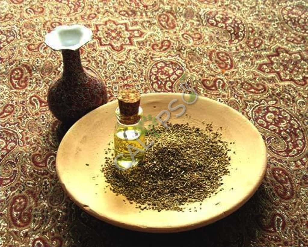 Comprare olio essenziale di cumino puro